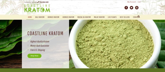 This screenshot of the home page for Coastline Kratom has a white and beige header with a green logo above a filtered photo of powdered kratom in a white bowl next to kratom leaves on a wooden table, along with a white text box describing why people should buy Coastline Kratom products and a green call-to-action button.