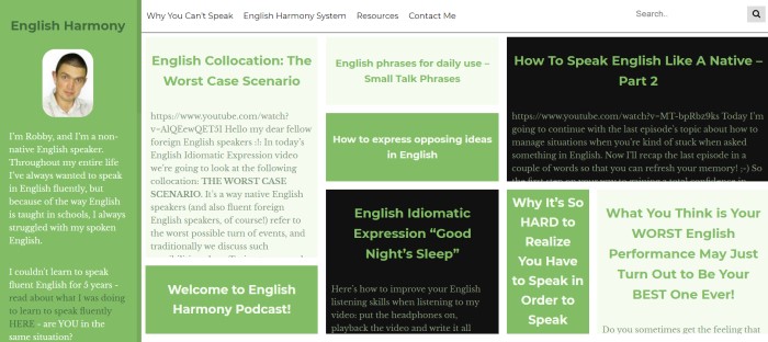 This screenshot of the home page for English Harmony has a photo of a dark-haired man in the upper left corner inside a green box, along with black, green, and light green boxes in the rest of the screen that are filled with text in green and white describing how English Harmony came to be and how it works.