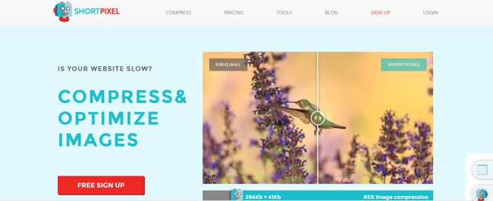 screenshot of the home page for Short Pixel jpg This screenshot of the home page for ShortPixel has the logo in aqua and red in a white navigation bar, above an aqua text section with a red call-to-action button on the left side of the page and a shot of some before-and-after video images of a hummingbird and purple flowers on the right side of the page.