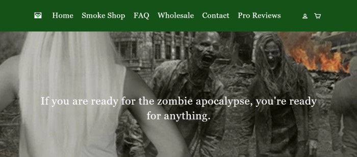 This screenshot of the home page for Zombie Survival Kit for Smokers has a green navigation bar above a black and white photo showing the back of a blond woman facing some zombies coming out of a decrepit mansion, along with white text that reads 