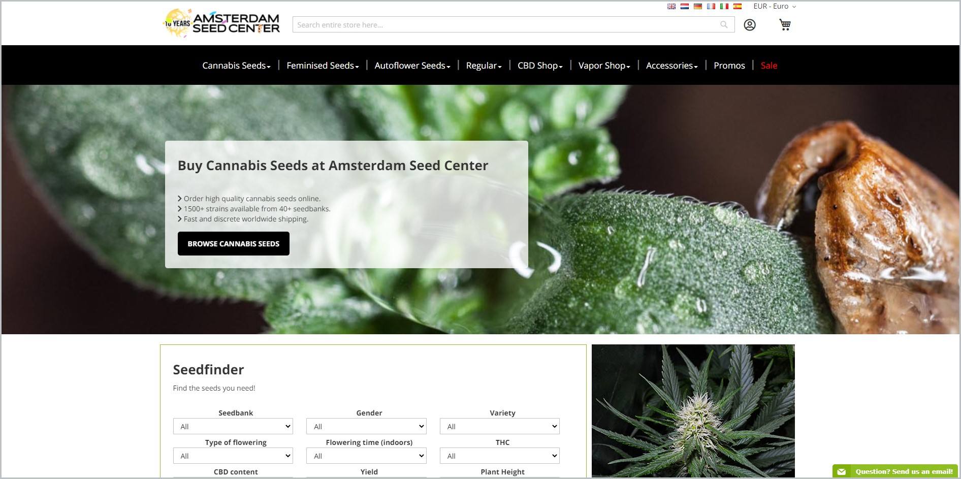 screenshot of Amsterdam Seed Center homepage, with white header bearing the website's name and search tab, underneath is the black navigation bar, it showcases a closeup image of cannabis