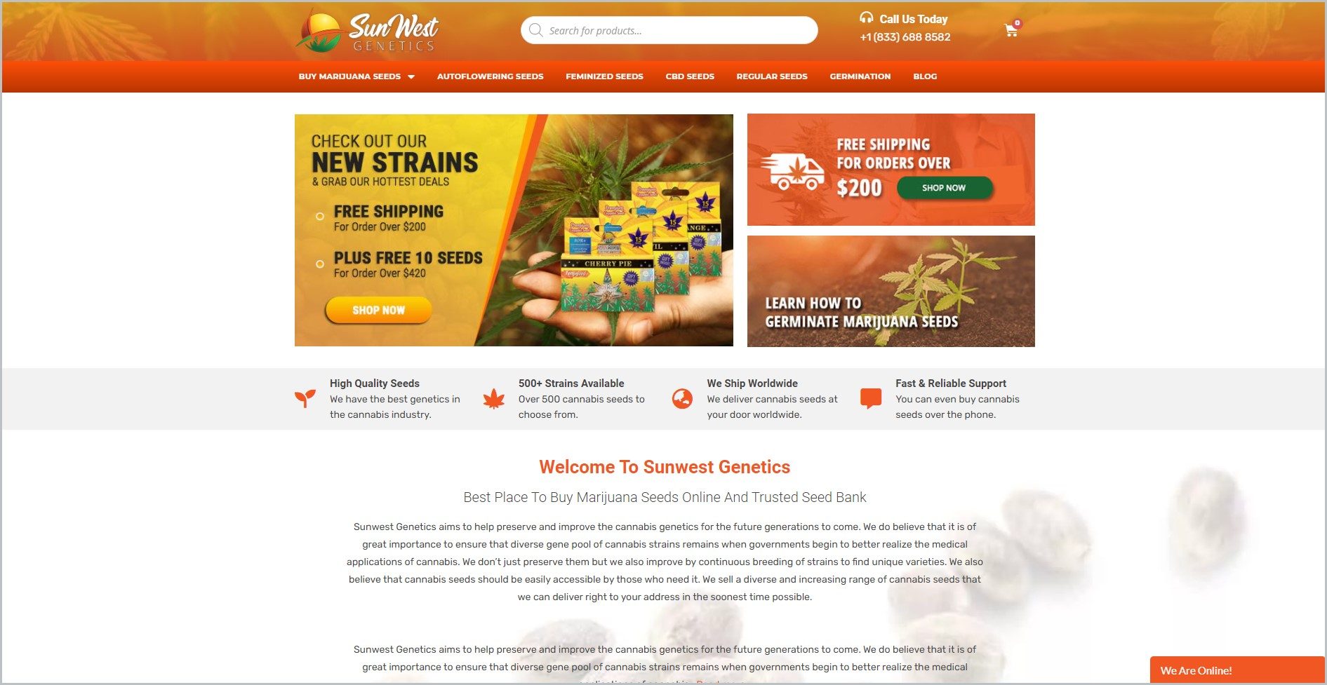 screenshot of Sunwest Genetics homepage with orange header with print overlay of cannabis leaves, on it is the website's name and the search bar, underneath is the orange bar  with the main navigation bar