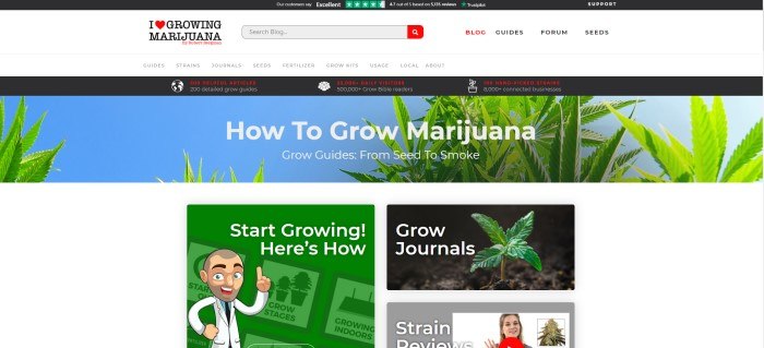 This screenshot of the home page for I Love Growing Marijuana has a black and gray header with the logo, black and red text, and a search bar with red elements above a photo of green marijuana plants against a blue sky, with white lettering announcing a marijuana growing guide.