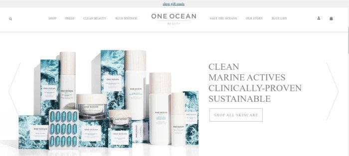 This screenshot of the home page for One Ocean Beauty has a white navigation bar above a photo of several One Ocean products in white bottles and boxes decorated with a photo of blue and white ocean waves, along with text announcing clean marine-based products.