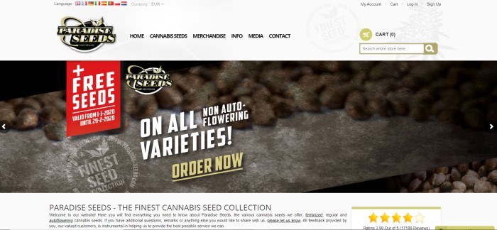 This screenshot of the home page for Paradise Seeds has a large light gray header with a navigation bar and logo above a dark filtered photo of cannabis seeds, along with a red advertisement with white lettering that announces free seeds and white text over the photo indicating that the free seeds now include all flowering varieties.