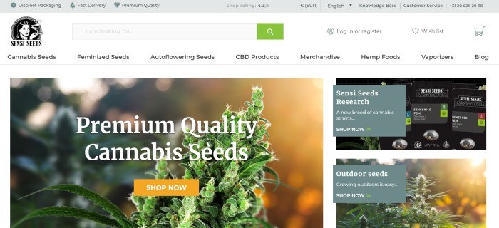 This screenshot of the home page for Sensi Seeds has a gray header, a search bar with green elements, a white navigation bar with black text, and a photo of a green cannabis seed head behind white text that reads "Premium quality Cannabis seeds."