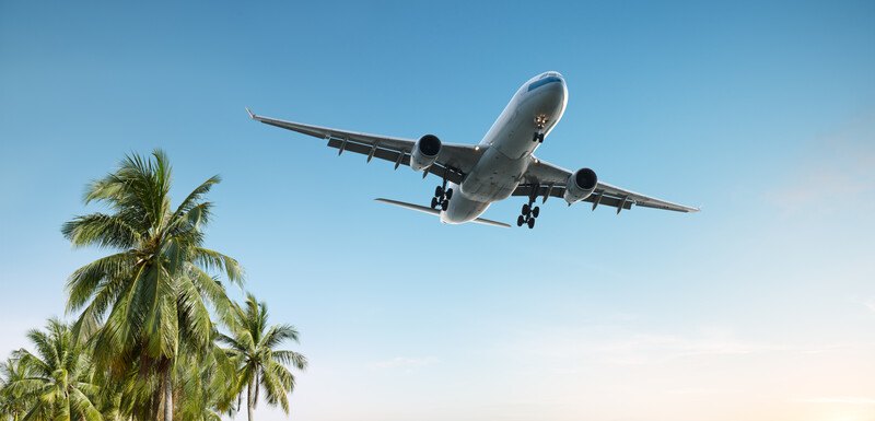 This photo shows an airplane in a blue sky flying over the tops of palm trees, representing the best travel packages affiliate programs.