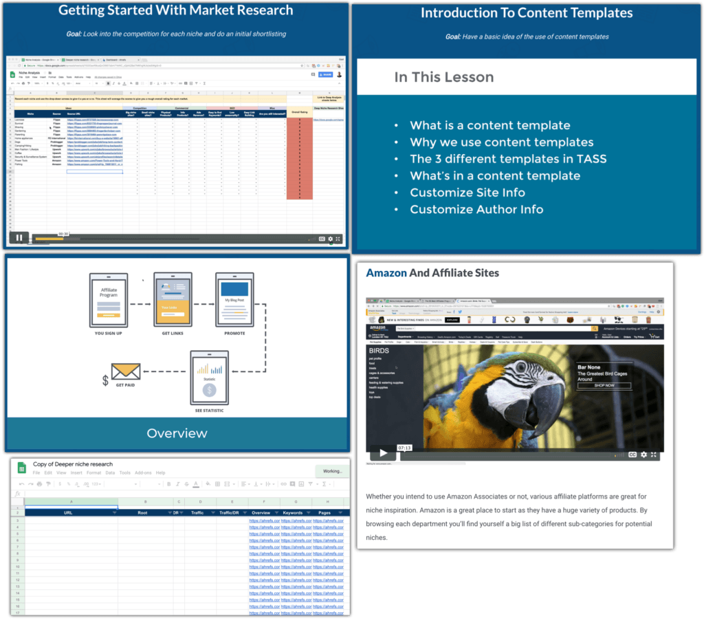 authority site system content quality assessment