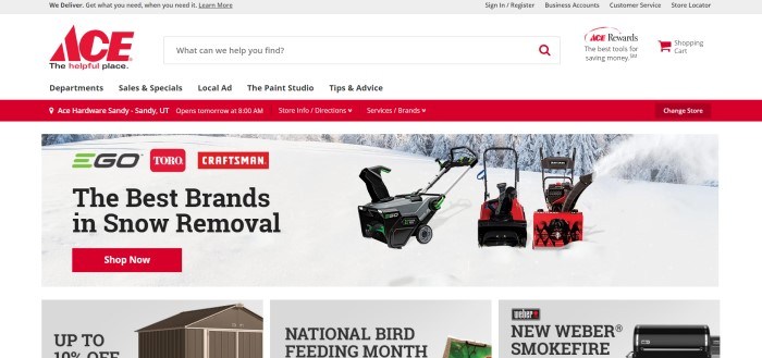 This screenshot of the home page for Ace Hardware has a white search bar and navigation bar with a red and black logo above a red store-finder bar and a photo of three snowblowers in the middle of a snowy yard, with black text describing the best snowblowers and a red call-to-action button, above three smaller product boxes with photos and text announcing sheds, bird feed, and grills.