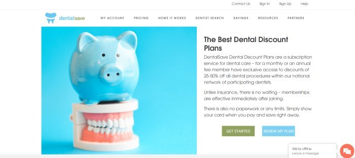 This screenshot of the home page for DentalSave has a white background with black text describing the best dental discount plans, along with a photo with a blue background showing a blue piggy bank resting on top of a set of dentures.