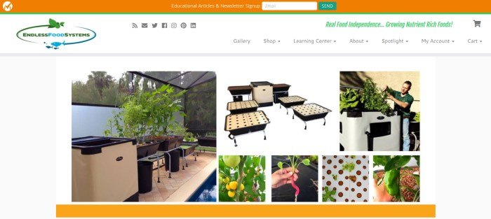 This screenshot of the home page for Endless Food System shows several pictures of state-of-the-art aquaponics systems on a white background with an orange footer and header. 