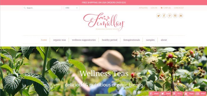 This screenshot of the home page for Femallay has a dark pink header announcing free shipping, a white navigation bar with a pink logo, and a large photo of a woman in a straw hat and a blue shirt picking leaves or berries off a plant in a raspberry patch.