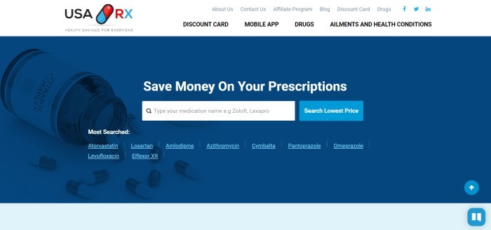 This screenshot of the home page for USA Rx has a white header and navigation bar above a blue main section with a white search bar and white text inviting customers to save money on their prescriptions.