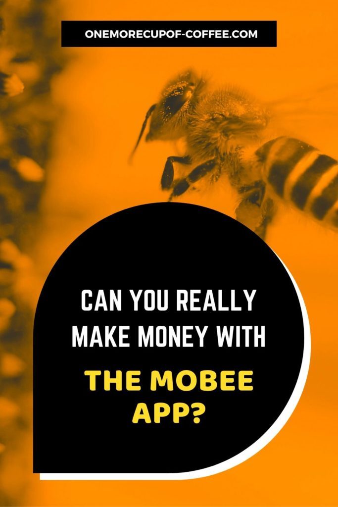 Can You Really Make Money With The Mobee App?