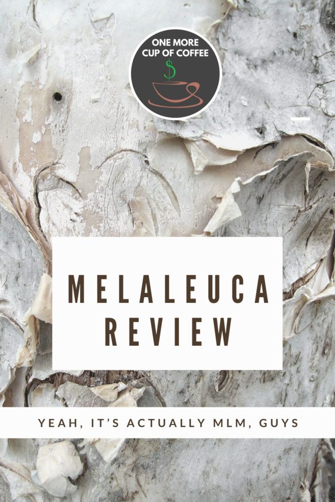 background image of melaleuca tree known as paper bark, with an overlay text 