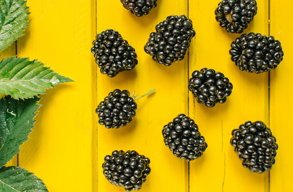 dark blackberries on yellow wooden background