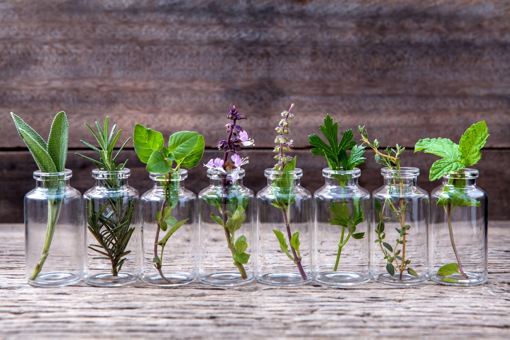 transparent essential oil bottles with fresh herbs inside