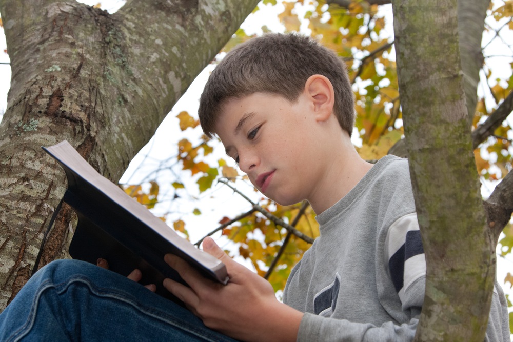 young boy sitting with a bible in a tree