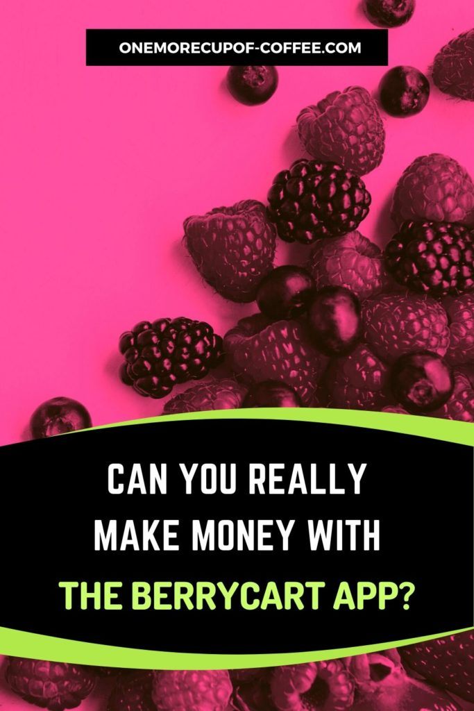 Can You Really Make Money With The BerryCart App?