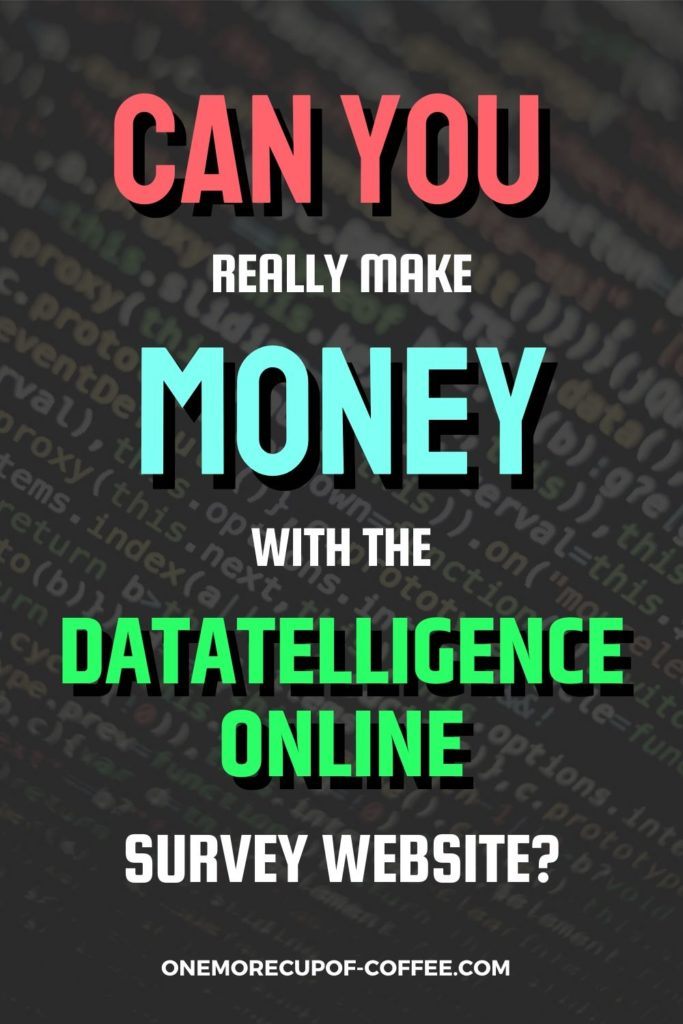 Can You Really Make Money With The Datatelligence Online Survey Website?