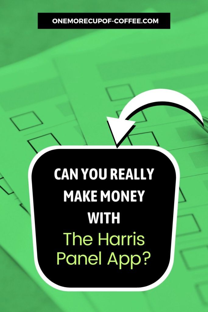 Can You Really Make Money With The Harris Panel App?