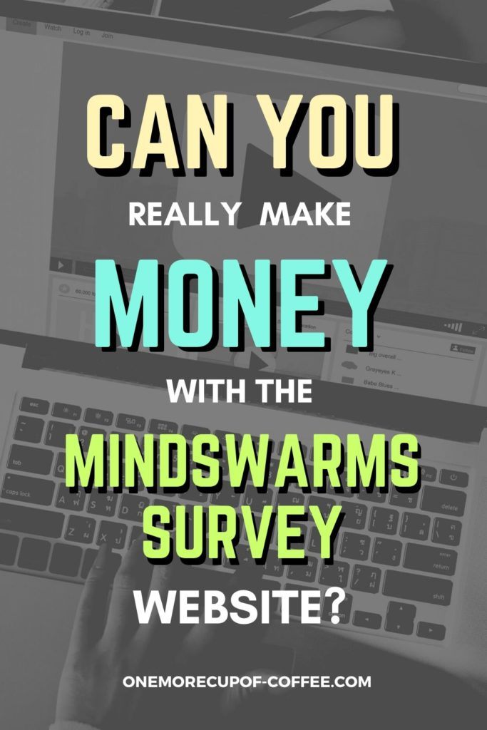 Can You Really Make Money With The Mindswarms Survey Website?