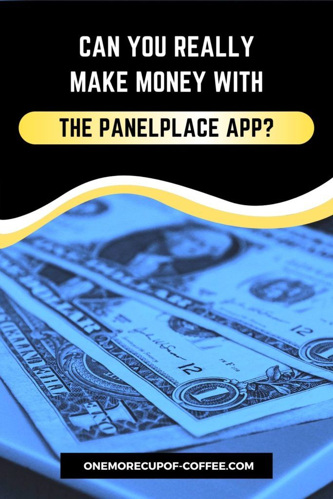 Can You Really Make Money With The PanelPlace App?