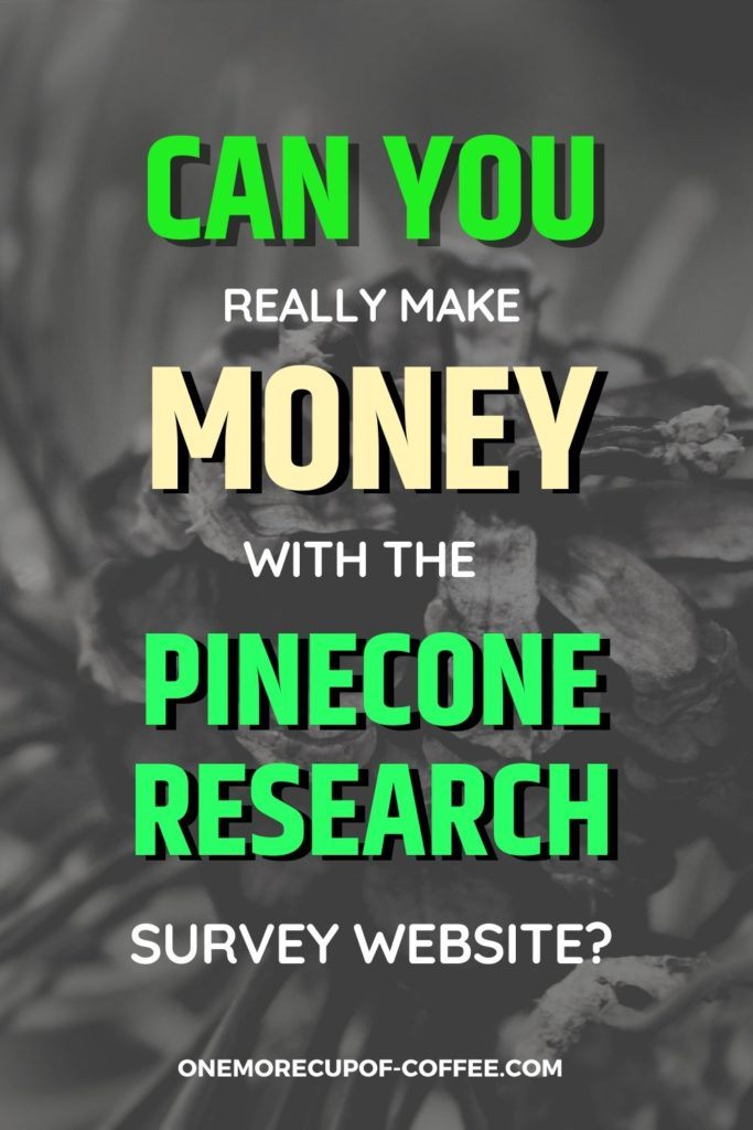 Can You Really Make Money With The Pinecone Research Survey Website?