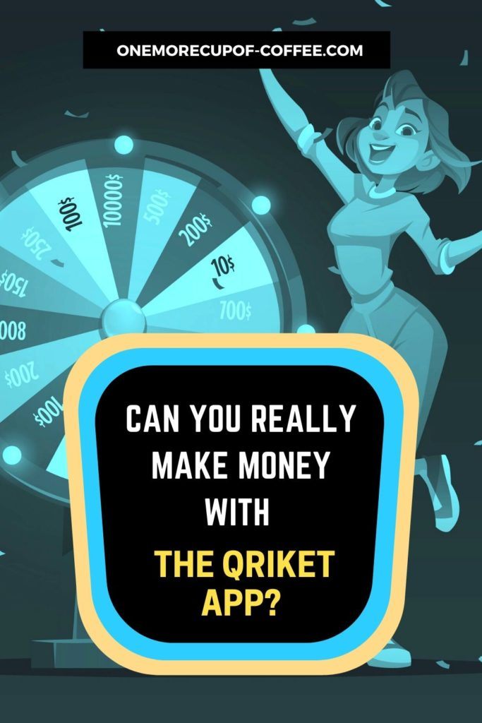 Can You Really Make Money With The Qriket App?