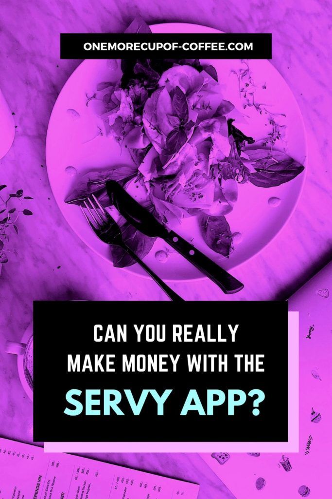 Can You Really Make Money With The Servy App?