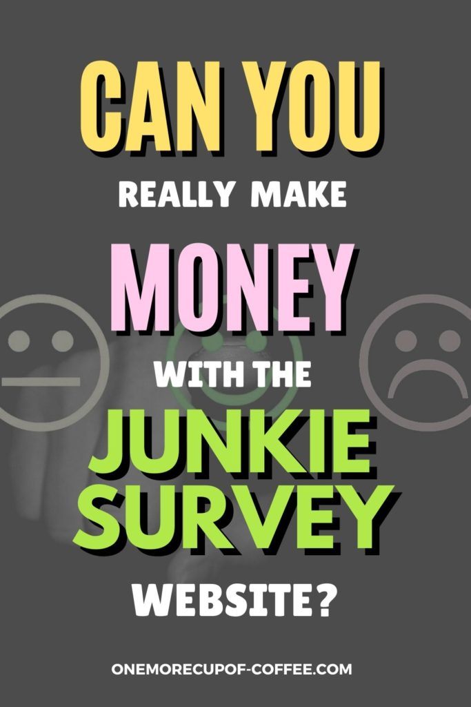 Can You Really Make Money With The Survey Junkie Survey Website?