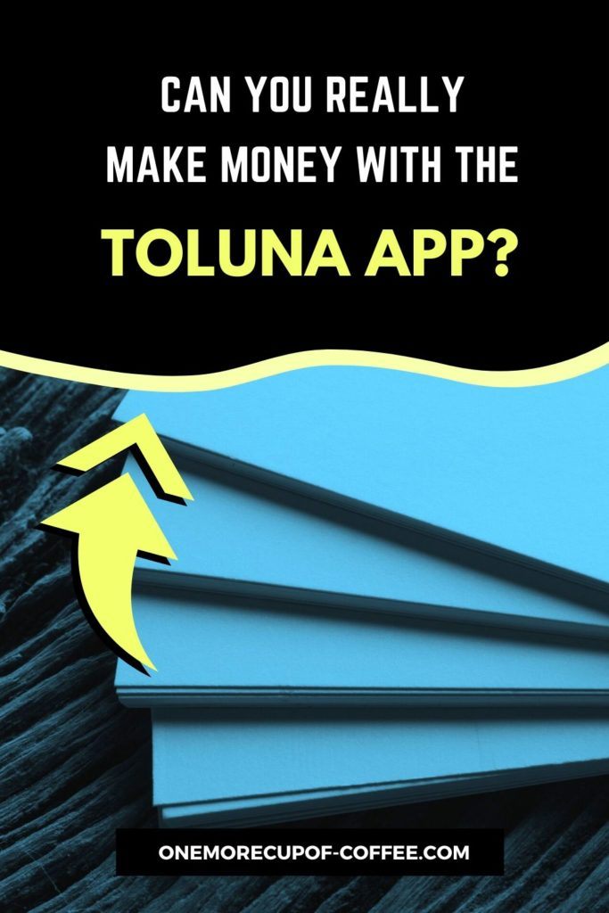 Can You Really Make Money With The Toluna App?