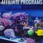 Top 10 Aquarium Affiliate Programs