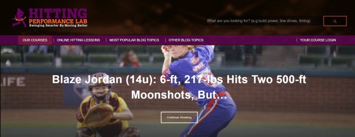 This screenshot of the home page for Hitting Performance Lab has a black header with a purple and red logo, a purple and white navigation bar, and a photo of a softball player in a blue shirt at home base, standing in front of a catcher in yellow gear, along with white text.