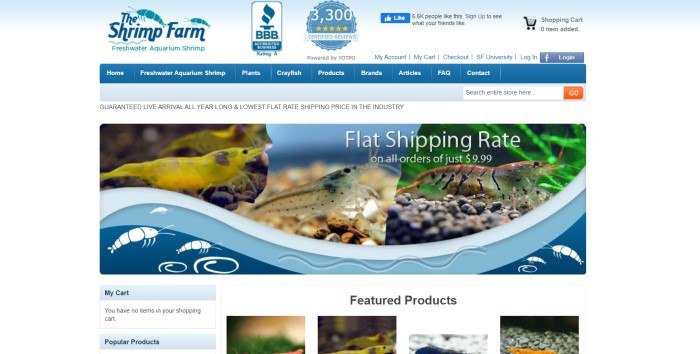 This screenshot of The Shrimp Farm has a blue background, a darker blue navigation bar, and a photo of the inside of a shrimp aquarium containing red, yellow, and gray shrimp, above a row of small photos of featured product