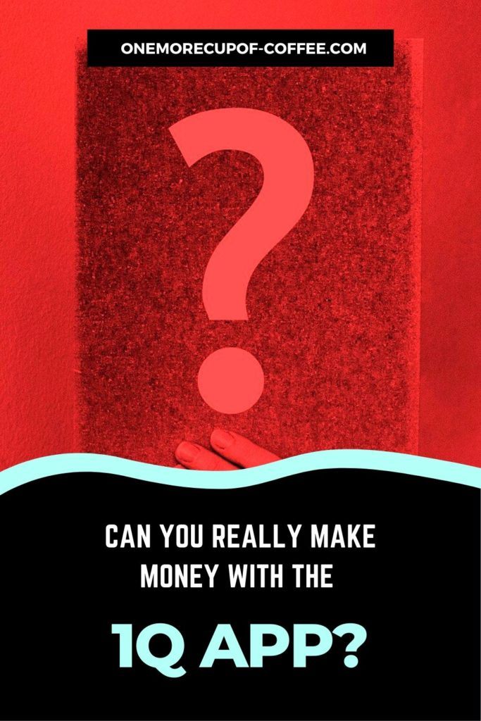 book with question mark cover in red background and "Can You Really Make Money With The 1Q App" text