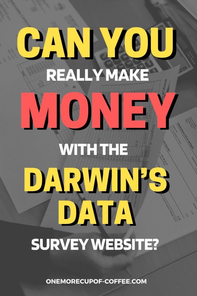 Can You Really Make Money With The Darwin’s Data Survey Website?