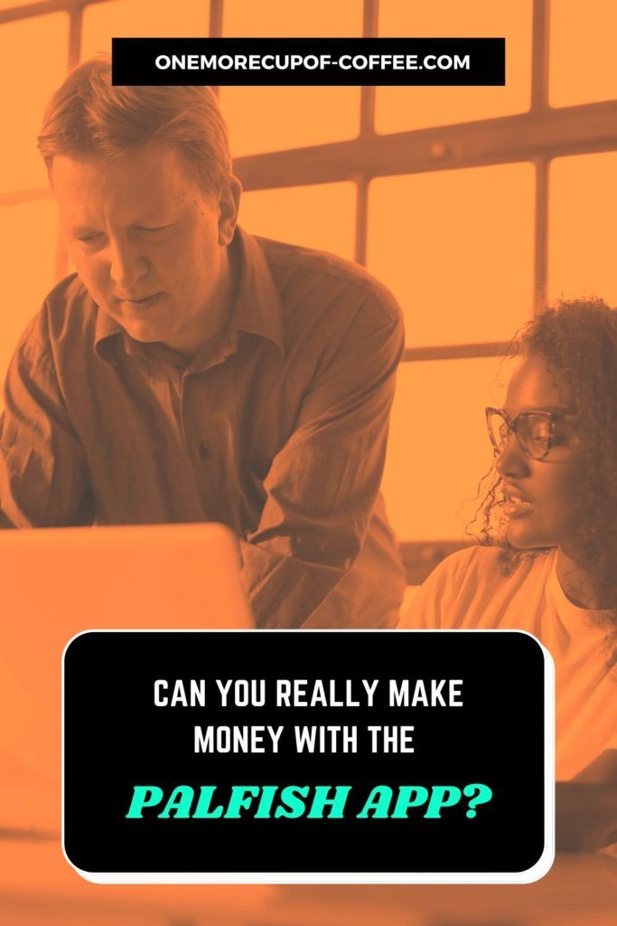 background image in orange tint of man and woman discussing in front of a laptop, with text overlay "Can You Really Make Money With The PalFish App"