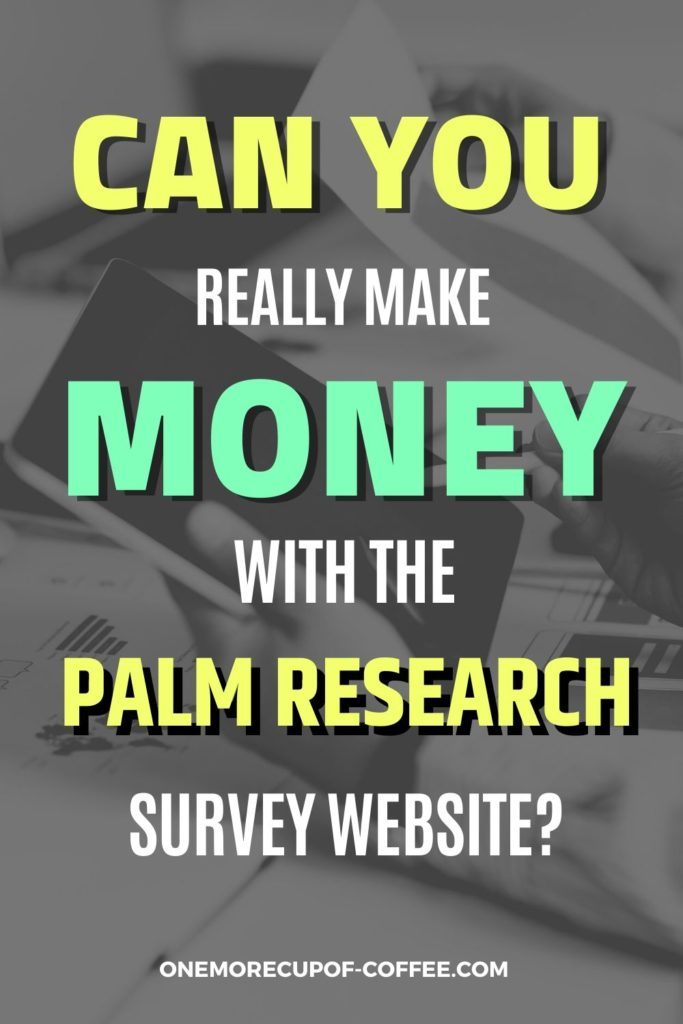 Can You Really Make Money With The Palm Research Survey Website?