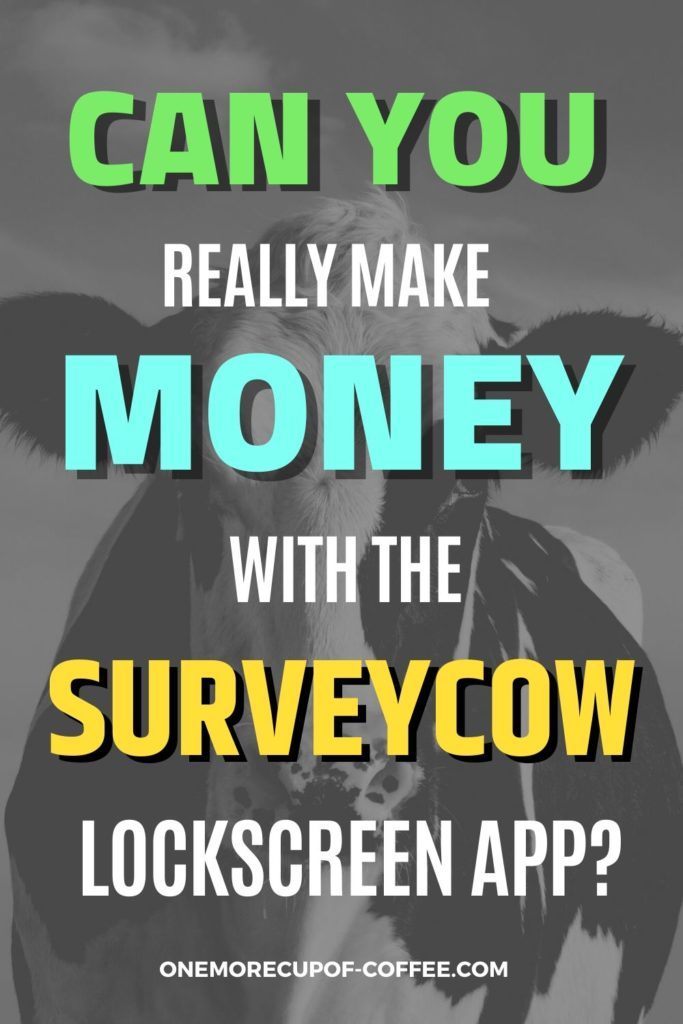 black and white closeup image of a cow, with text overlay "Can You Really Make Money With The SurveyCow Lockscreen App?"