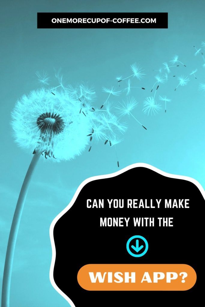 background image in turquoise tint of dandelion with text overlay "Can You Really Make Money With The Wish App"