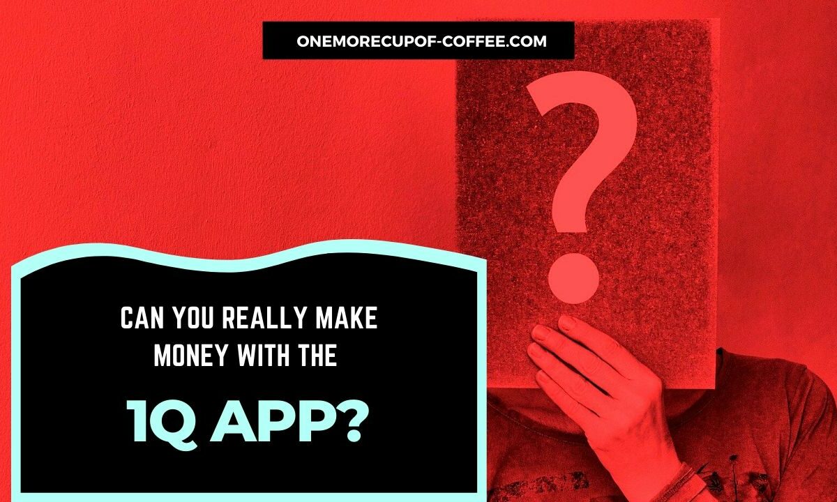 Make Money With The 1Q App Featured Image