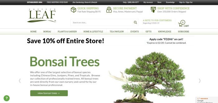 This screenshot of the home page of Easter Leaf has a black header, a white search bar with green and black text, a pale green navigation bar with black text, a white background in the main section with black and green text and a green call to action button on the left side of the page, and a photo of a green bonsai plant on the right side of the page.