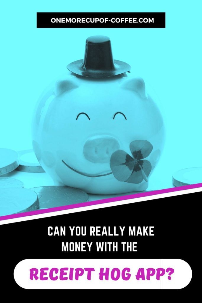 blue tint background image of piggy bank with little hat and coins surrounding it, with text overlay "Can You Really Make Money With The Receipt Hog App?"