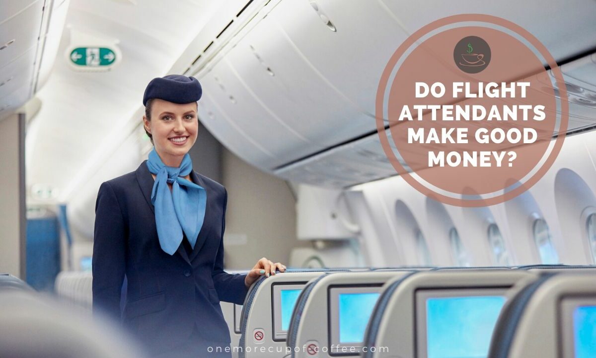 Do Flight Attendants Make Good Money featured image