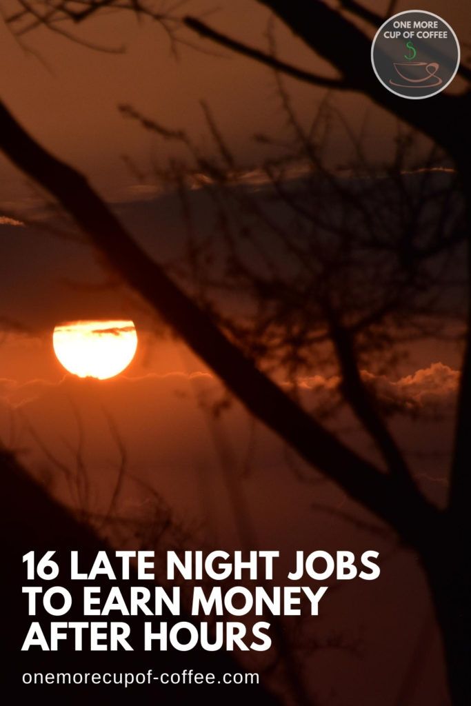 image of moon at a distance shot through some tree branches, with text overlay "16 Late Night Jobs To Earn Money After Hours"