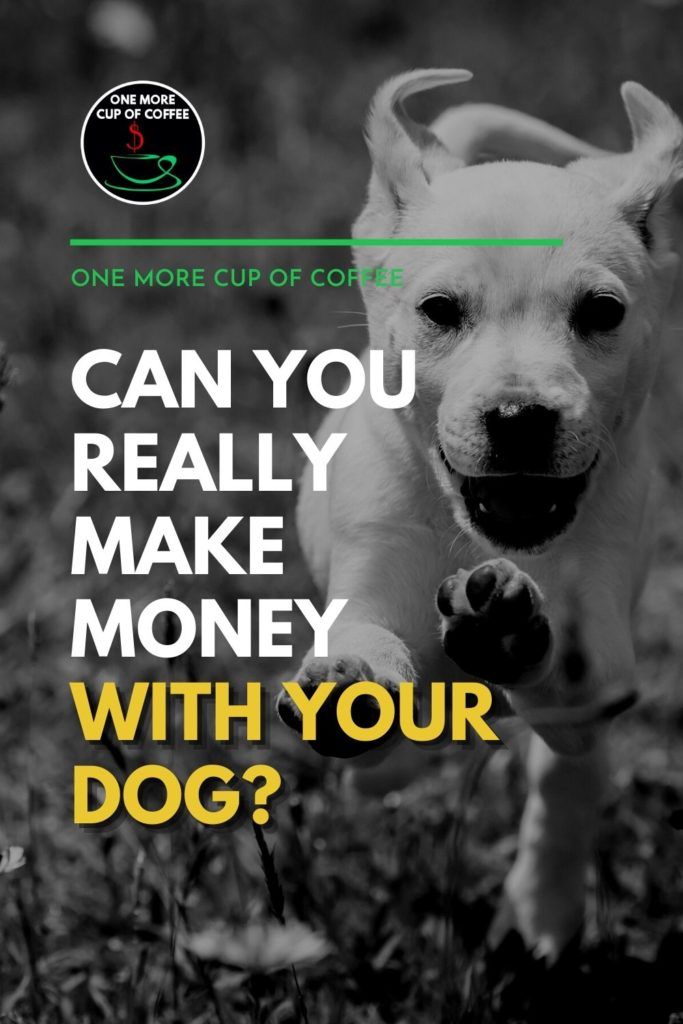 black and white image of a dog running towards the camera, with text overlay "Can You Really Make Money With Your Dog?"