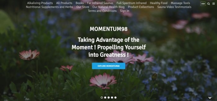 This screenshot of the home page for Momentum98 has a transparent navigation bar with white text above a large dark filtered photo of pink and blue flowers, behind white text and a blue call to action button.