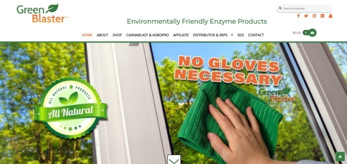 This screenshot of the home page of Green Blaster has a white header and navigation bar with text in black, orange, and green above a large photo of trees through a window with white trimming and a hand holding a green cleaning rag against the glass, along with orange text and a green circular graphic promoting all natural products.