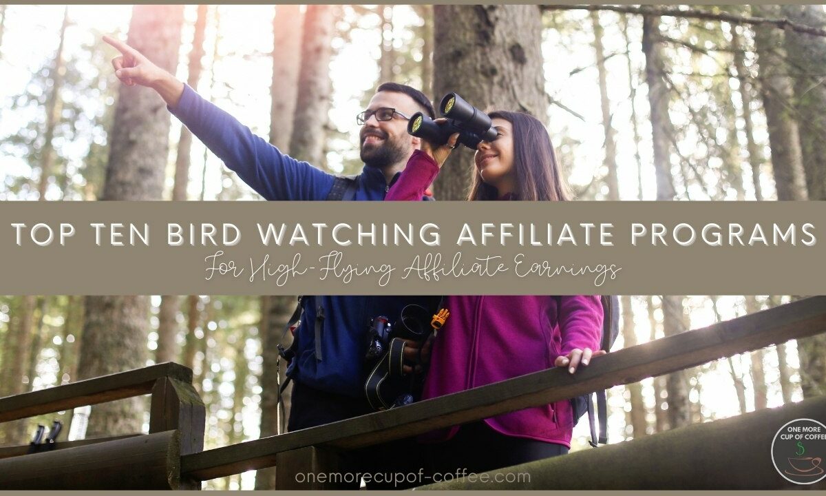 Top Ten Bird Watching Affiliate Programs For High-Flying Affiliate Earnings featured image